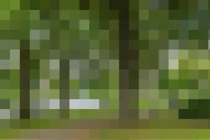 Parkstraat 6 2 Arnhem thumbnail 36