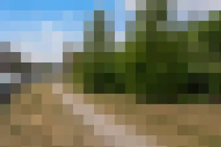 Parkweg 232 Vlaardingen thumbnail 6