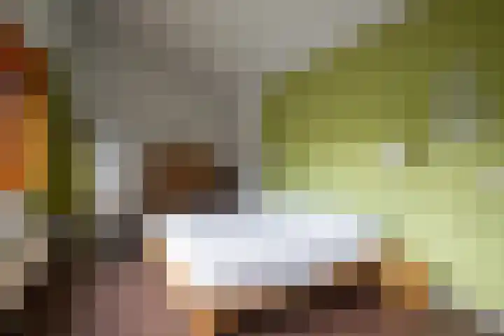 Parkweg 3 Hoenderloo thumbnail 27