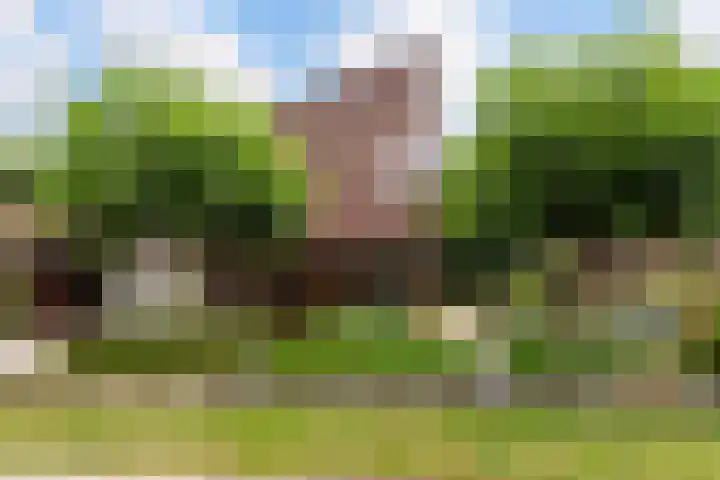 Parkweg 3 Hoenderloo thumbnail 37