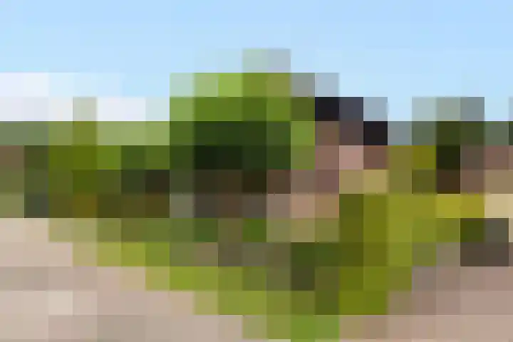 Parkweg 3 Hoenderloo thumbnail 39