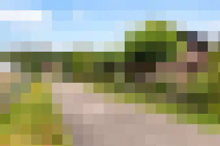 Parkweg 3 Hoenderloo thumbnail 40