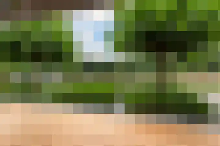 Parkweg 3 Hoenderloo thumbnail 41