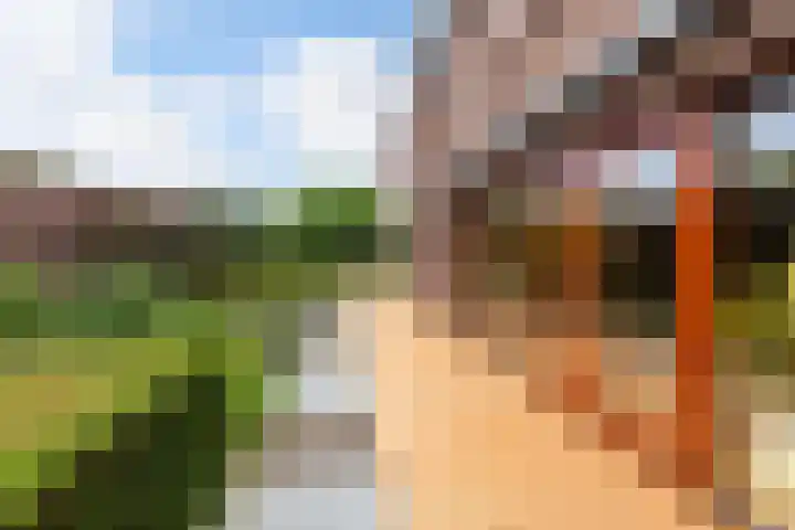 Parkweg 3 Hoenderloo thumbnail 44
