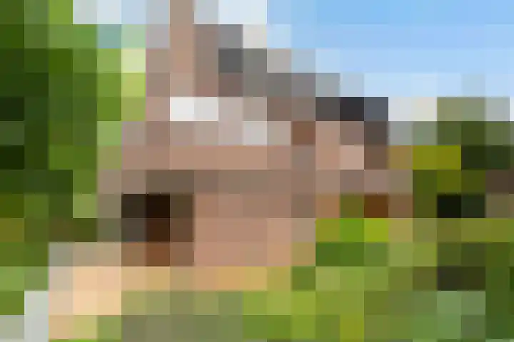 Parkweg 3 Hoenderloo thumbnail 45