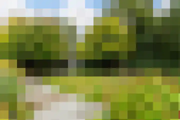 Parkweg 3 Hoenderloo thumbnail 46
