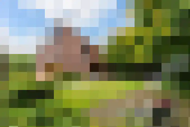 Parkweg 3 Hoenderloo thumbnail 47