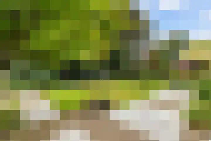 Parkweg 3 Hoenderloo thumbnail 49