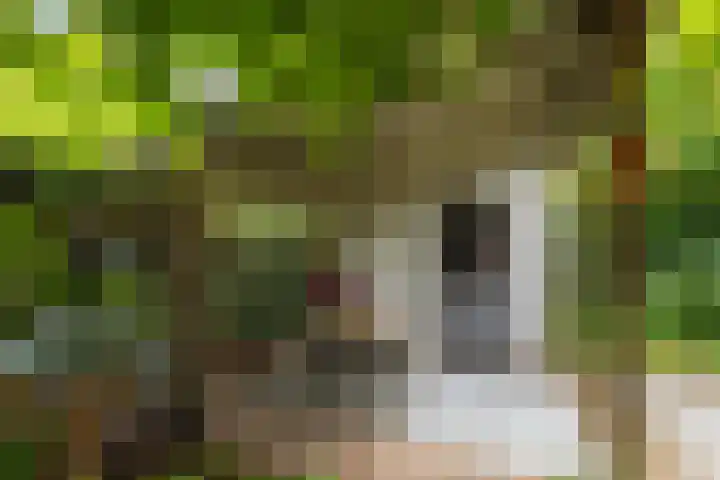 Parkweg 3 Hoenderloo thumbnail 50