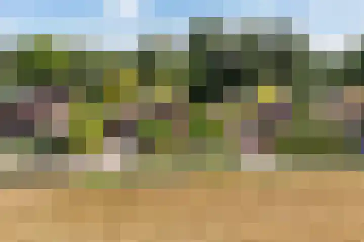 Parkweg 3 Hoenderloo thumbnail 52