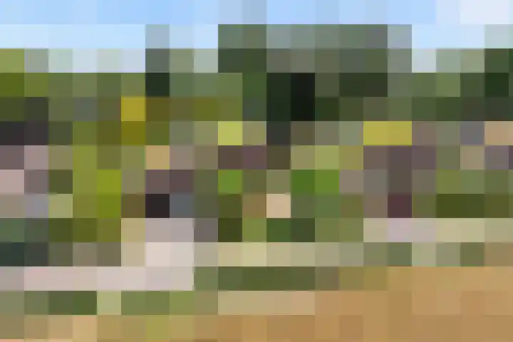 Parkweg 3 Hoenderloo thumbnail 53