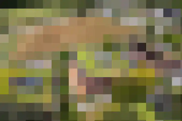 Parkweg 3 Hoenderloo thumbnail 54