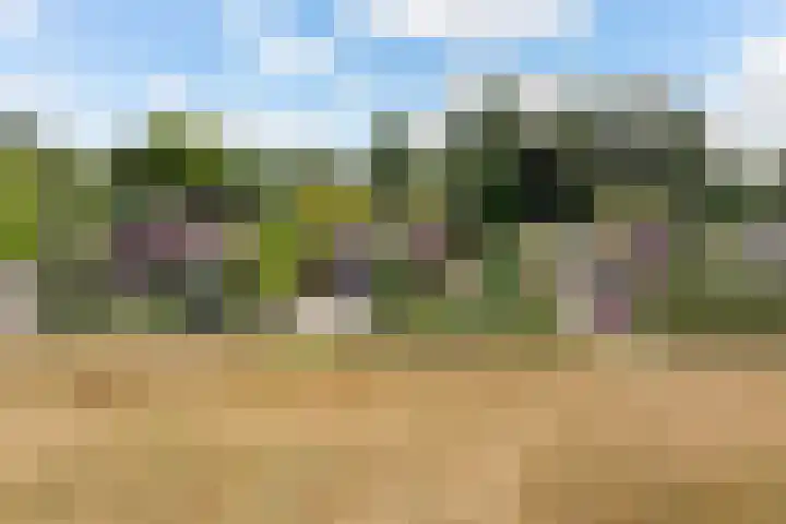 Parkweg 3 Hoenderloo thumbnail 56