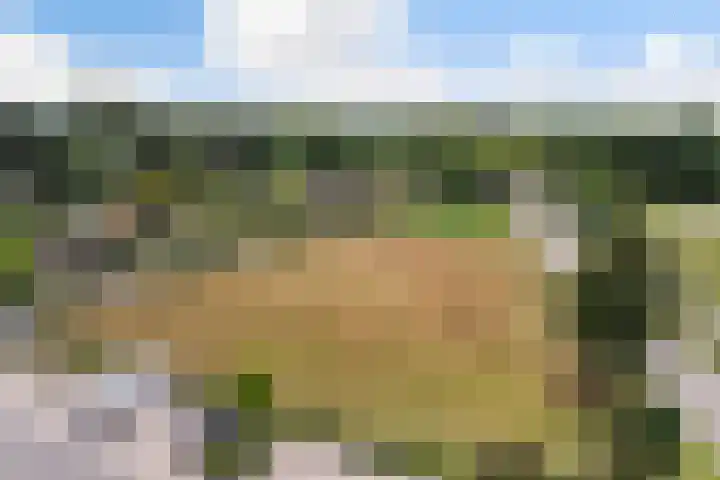 Parkweg 3 Hoenderloo thumbnail 57