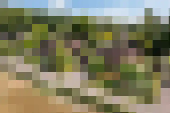 Parkweg 3 Hoenderloo thumbnail 62
