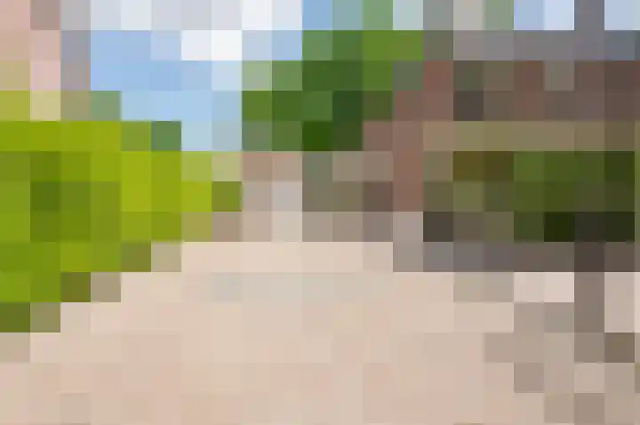 Parkweg 43 't Harde thumbnail 6