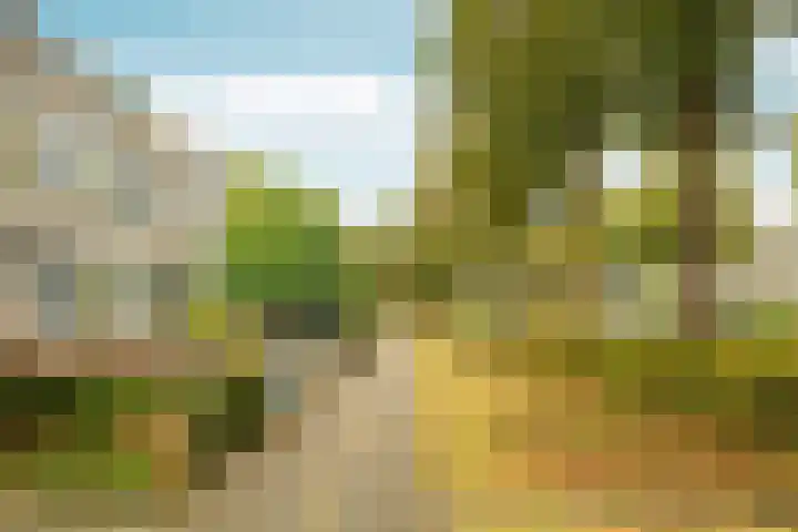 Parkwijklaan 150 Almere thumbnail 11