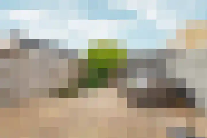 Parkwijklaan 150 Almere thumbnail 5