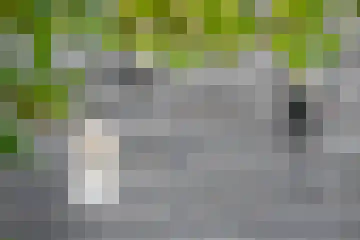 Parkwijklaan 150 Almere thumbnail 67