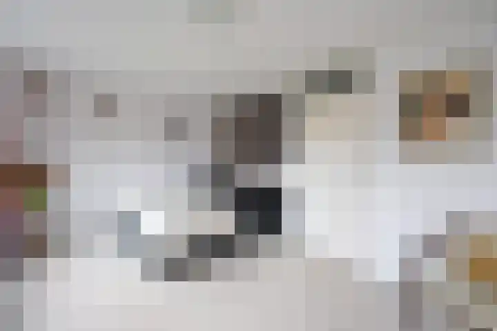 Parkwijklaan 6 Almere thumbnail 9