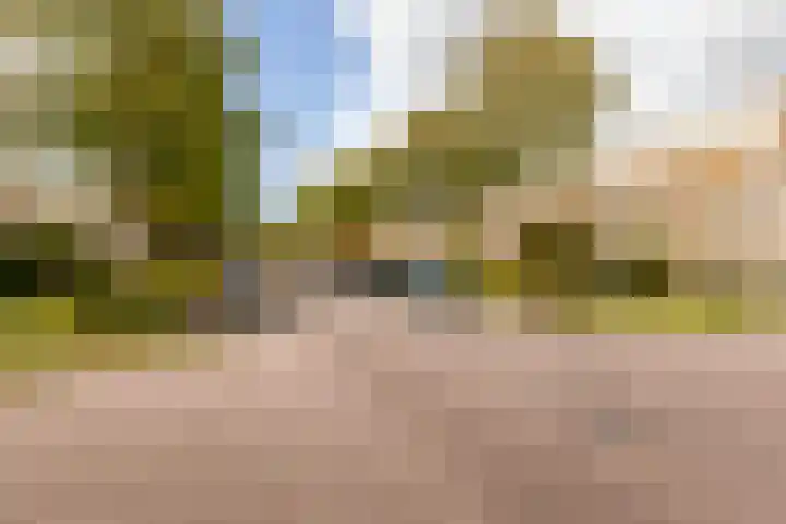 Parkwijklaan 87 Almere thumbnail 32