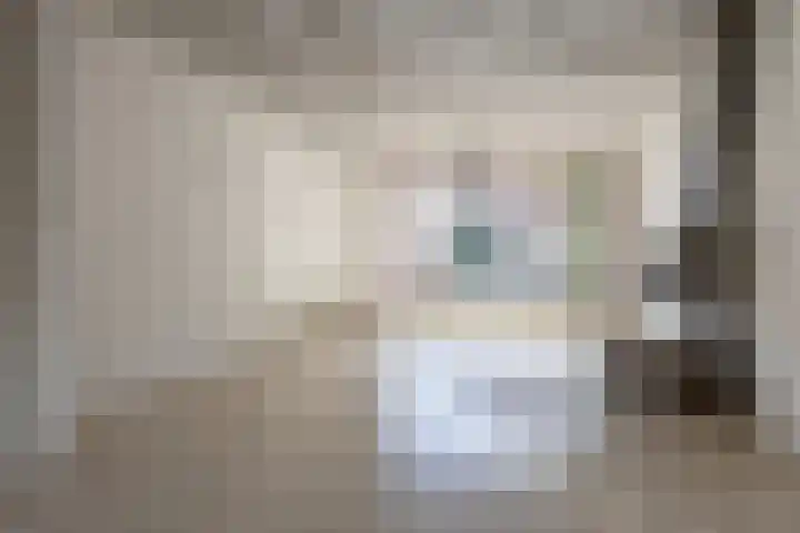Parmentierlaan 46 Amstelveen thumbnail 8