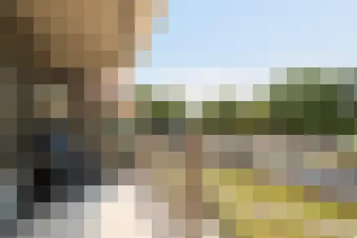 Parnaskruid 117 Amersfoort thumbnail 11