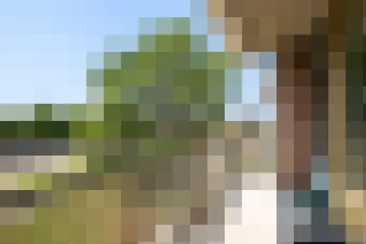 Parnaskruid 117 Amersfoort thumbnail 12