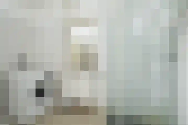 Parnaskruid 117 Amersfoort thumbnail 22