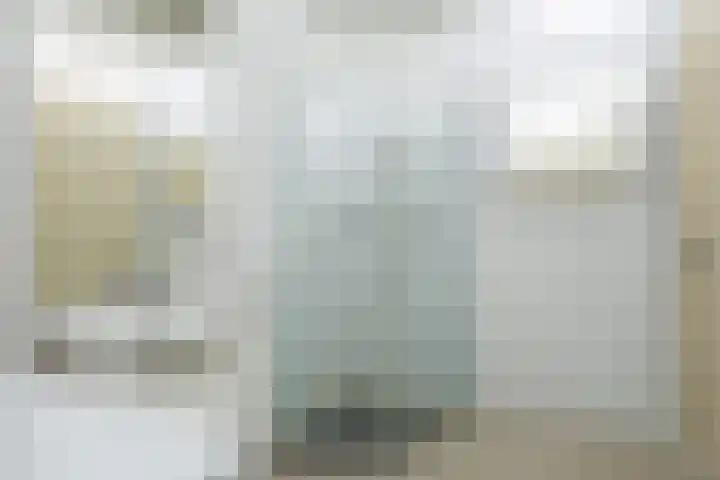Parnaskruid 117 Amersfoort thumbnail 23