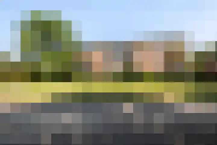 Parnaskruid 117 Amersfoort thumbnail 26