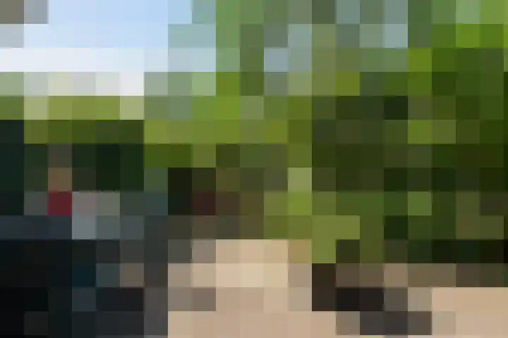 Parnaskruid 117 Amersfoort thumbnail 30