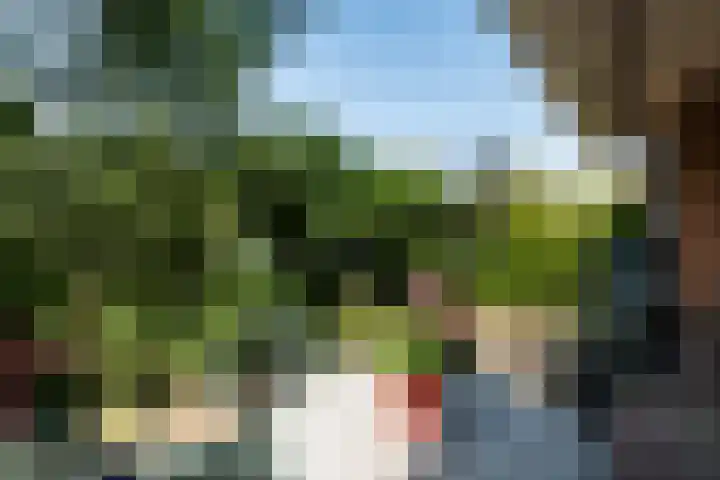 Parnaskruid 117 Amersfoort thumbnail 31