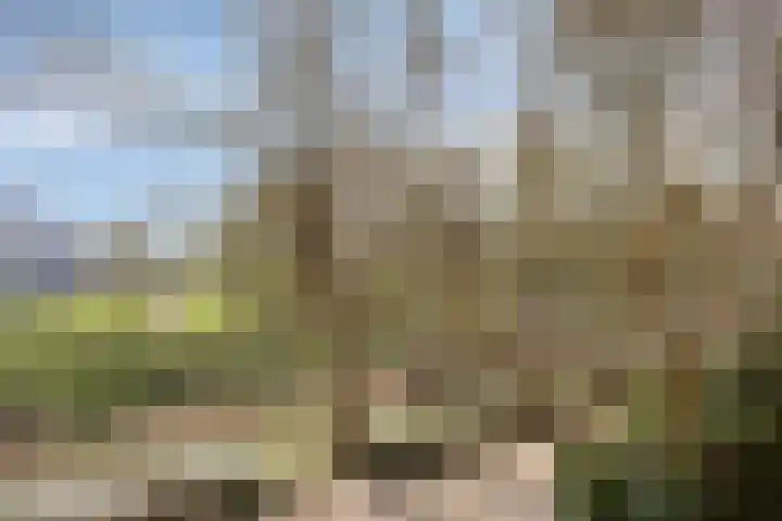 Parterre 2 Almelo thumbnail 19