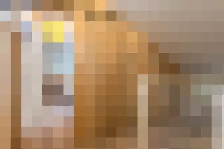 Parterre 2 Almelo thumbnail 34