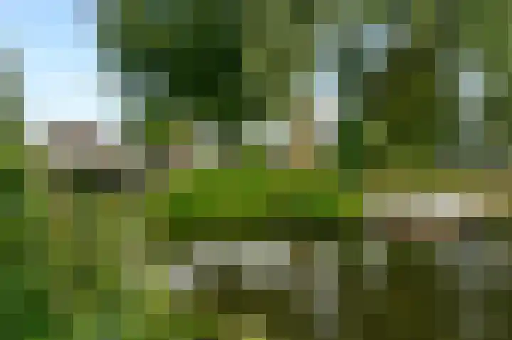 Partitastraat 12 Almere thumbnail 48