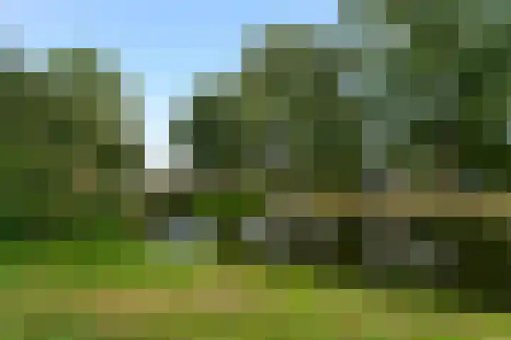 Partitastraat 12 Almere thumbnail 49