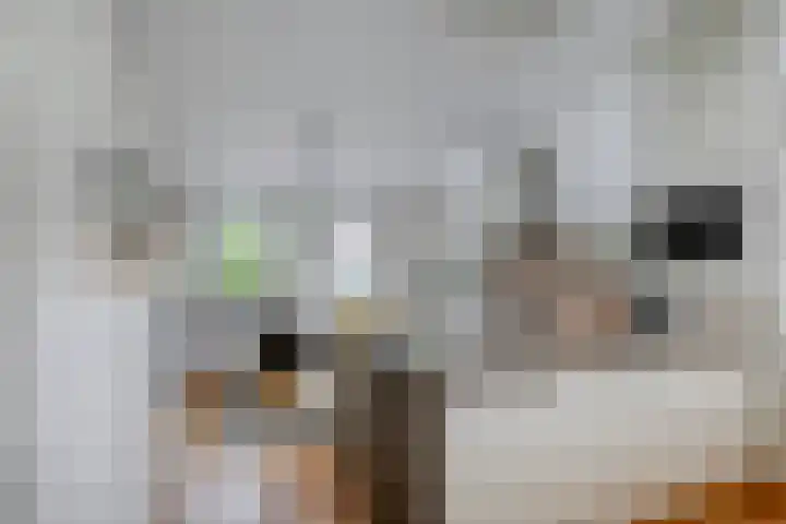 Pasakker 37 Someren thumbnail 11