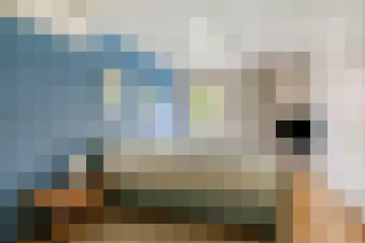 Pasakker 37 Someren thumbnail 17
