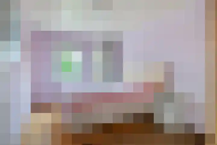 Pasakker 37 Someren thumbnail 24