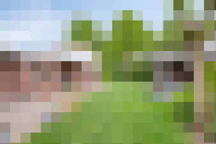 Pasakker 37 Someren thumbnail 28