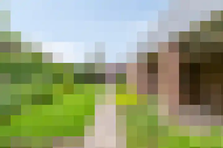 Pasakker 37 Someren thumbnail 34