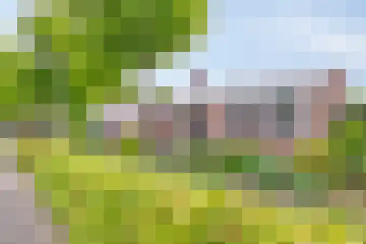 Pasakker 37 Someren thumbnail 36