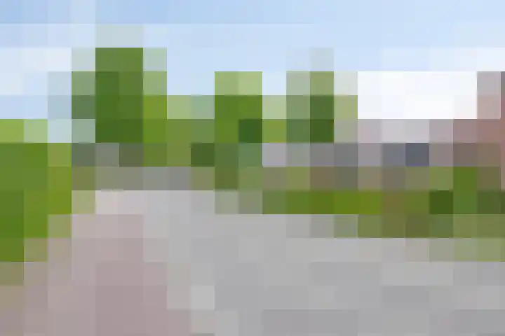 Pasakker 37 Someren thumbnail 38