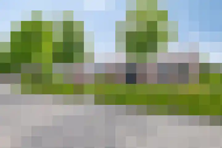 Pasakker 37 Someren thumbnail 39