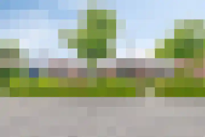 Pasakker 37 Someren thumbnail 40