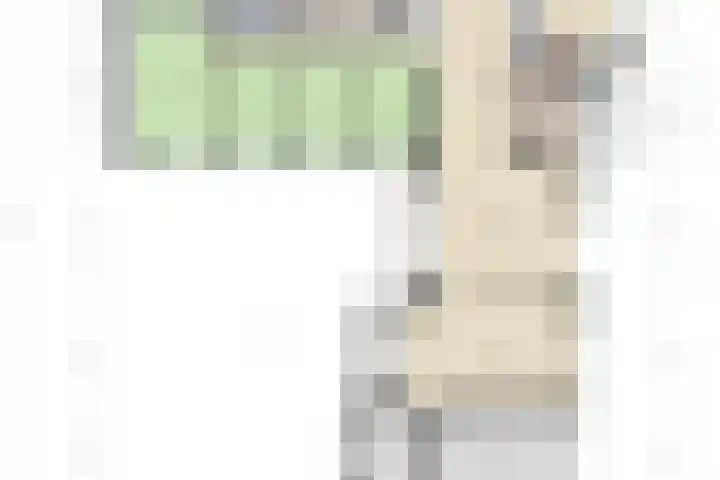 Pasakker 37 Someren thumbnail 41