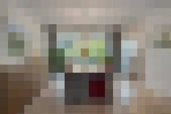 Pasakker 44 Someren thumbnail 15