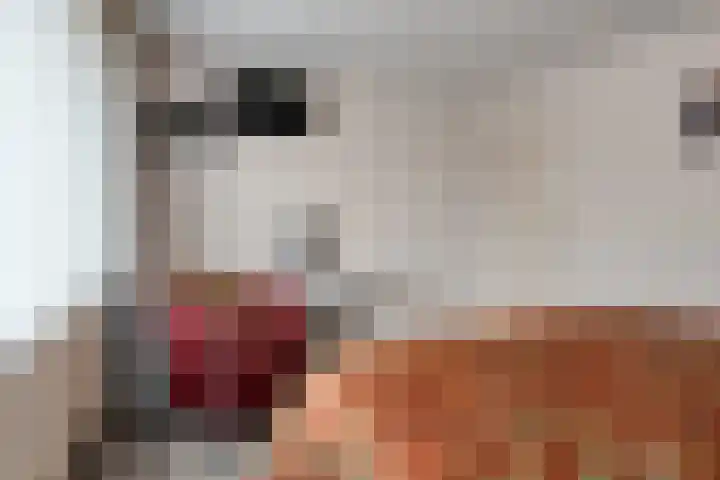 Pasakker 44 Someren thumbnail 23