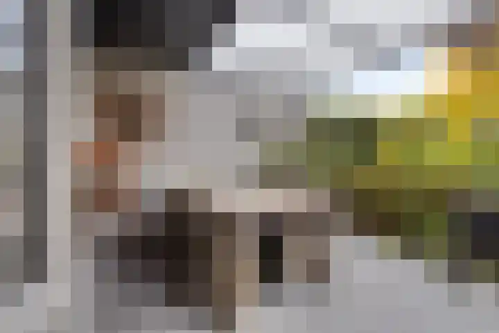 Pasakker 44 Someren thumbnail 32